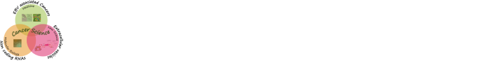 大阪大学微生物病研究所 感染腫瘍制御分野 幸谷研究室